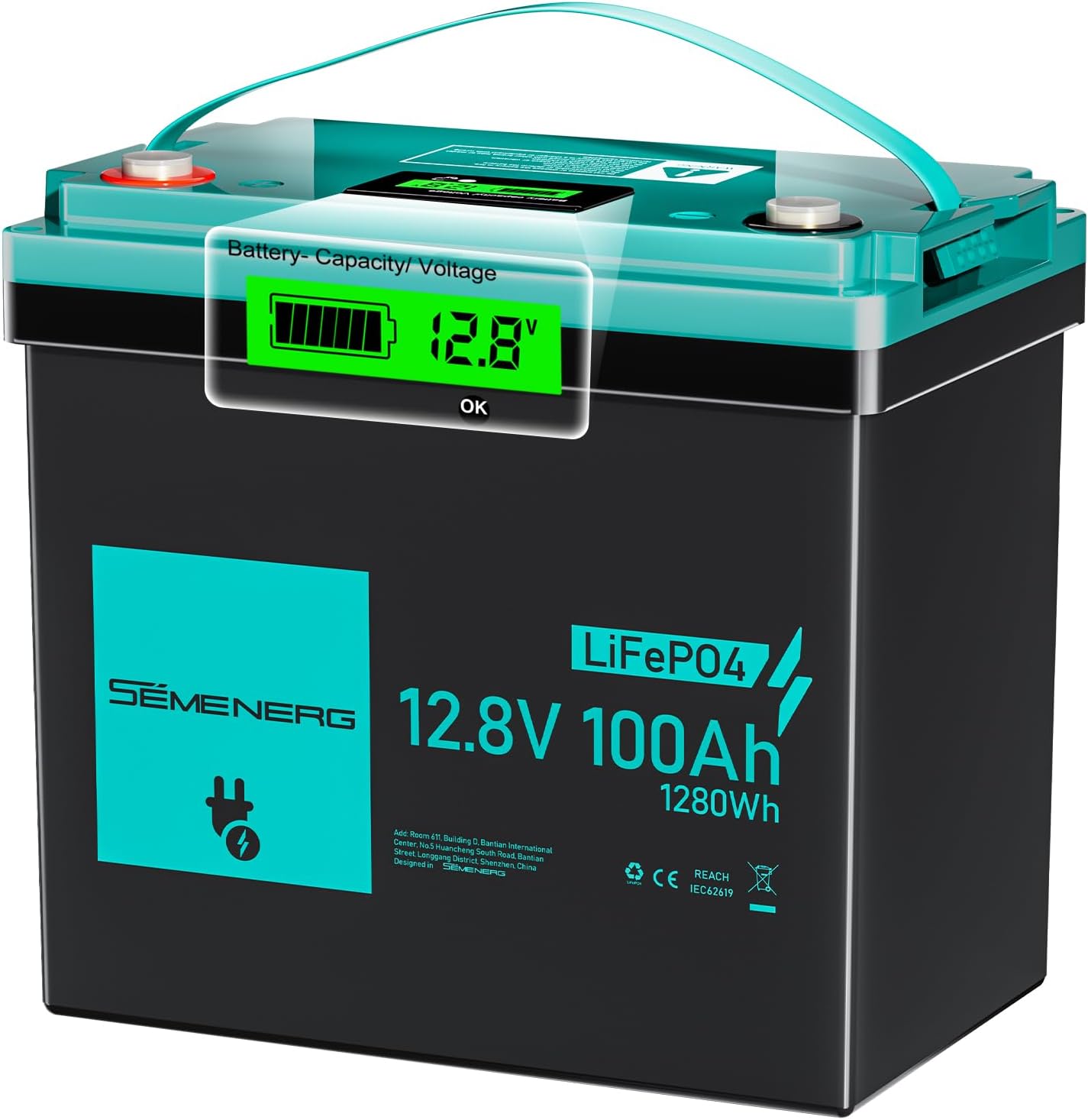 Batterie a ciclo profondo 100A, Sistemi a Energia Solare, Batteria al Litio da LiFePO4 Mini 12 V 100 Ah con LED, Campeggio, SEMENERG